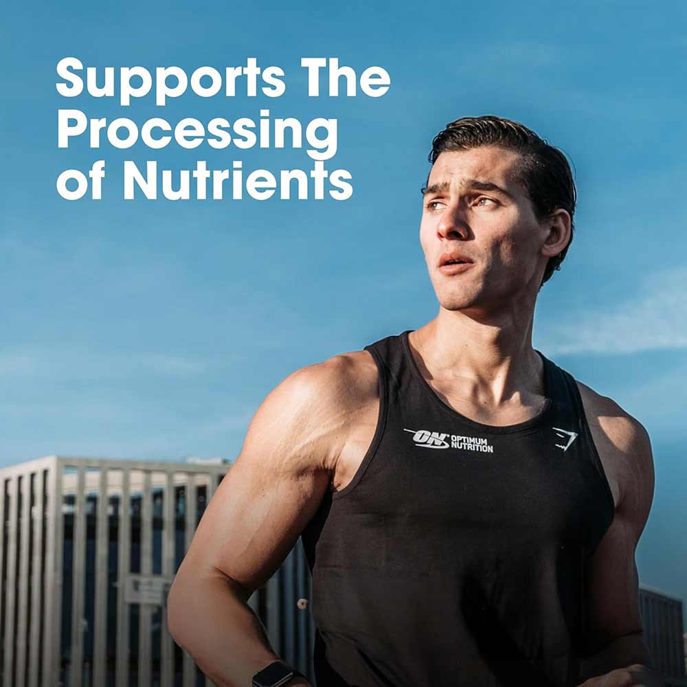 ON (Optimum Nutrition) Multivitamin for Men