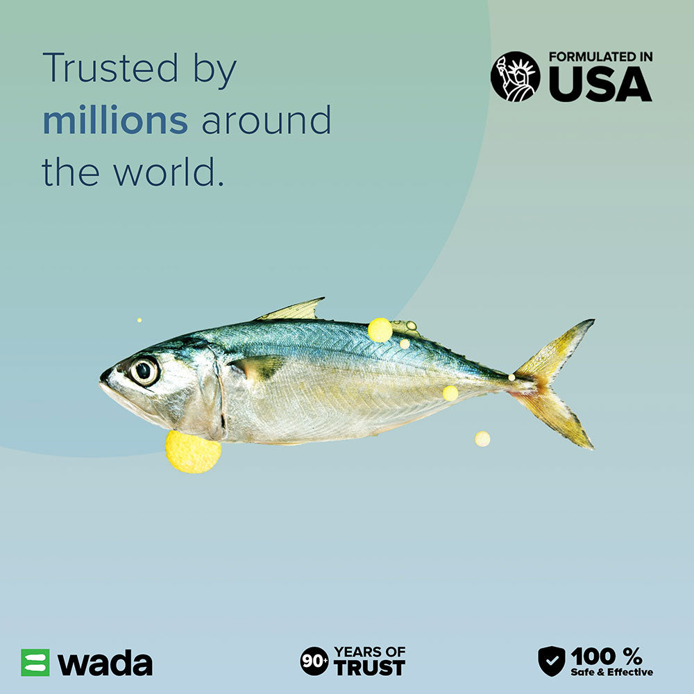 GNC Fish Oil (1000 mg)