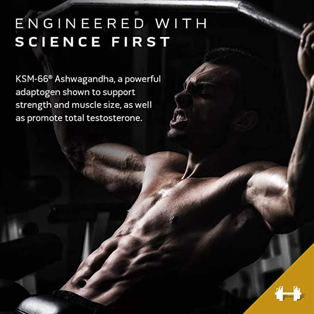 MuscleTech Test HD Elite