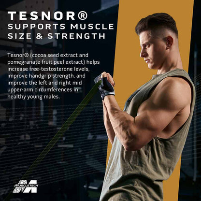 MuscleTech Test HD Elite