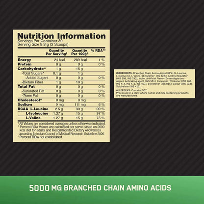 ON (Optimum Nutrition) Instantized BCAA 5000